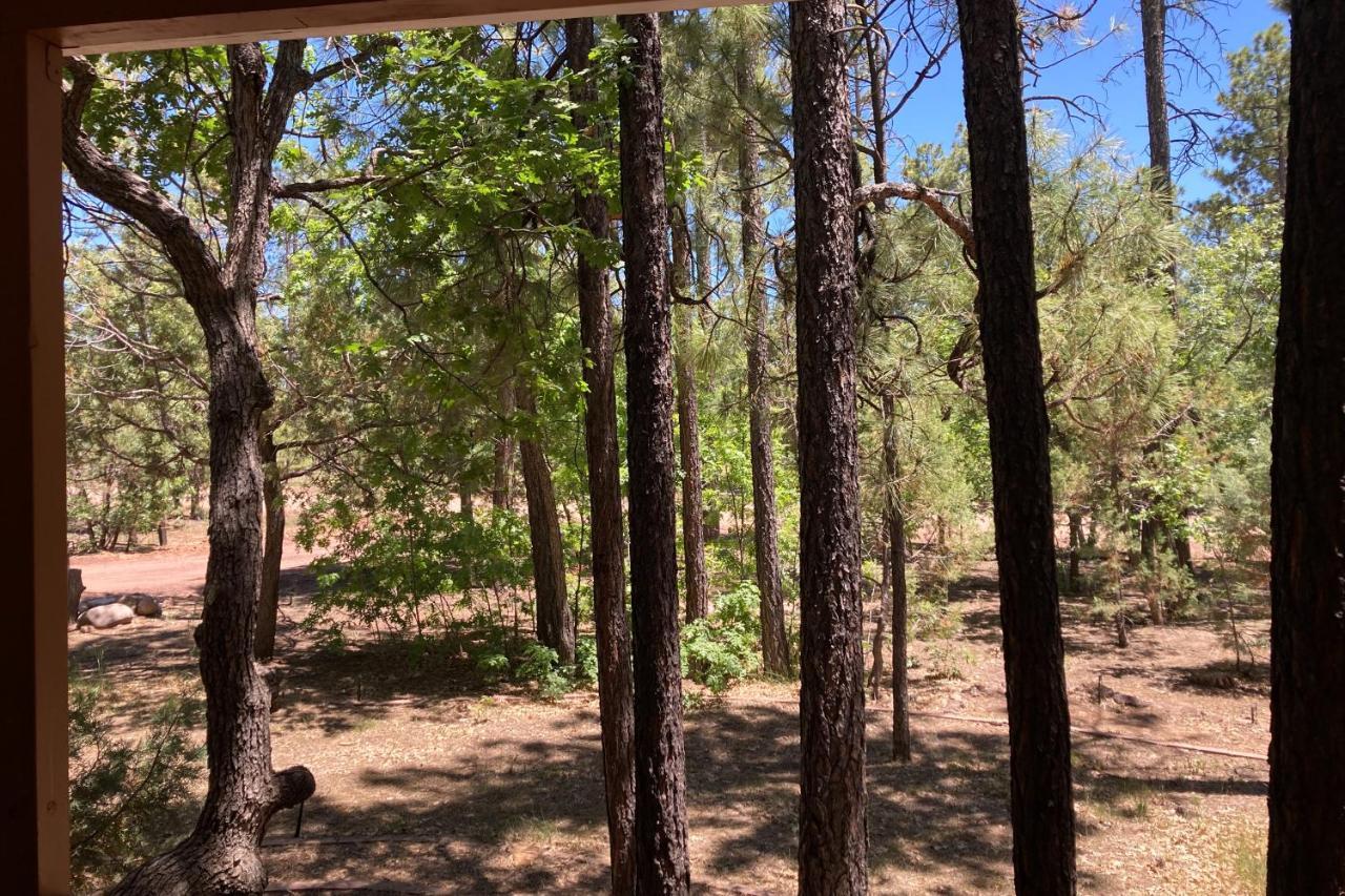 Tranquil Pines Retreat Pinetop-Lakeside Exterior foto